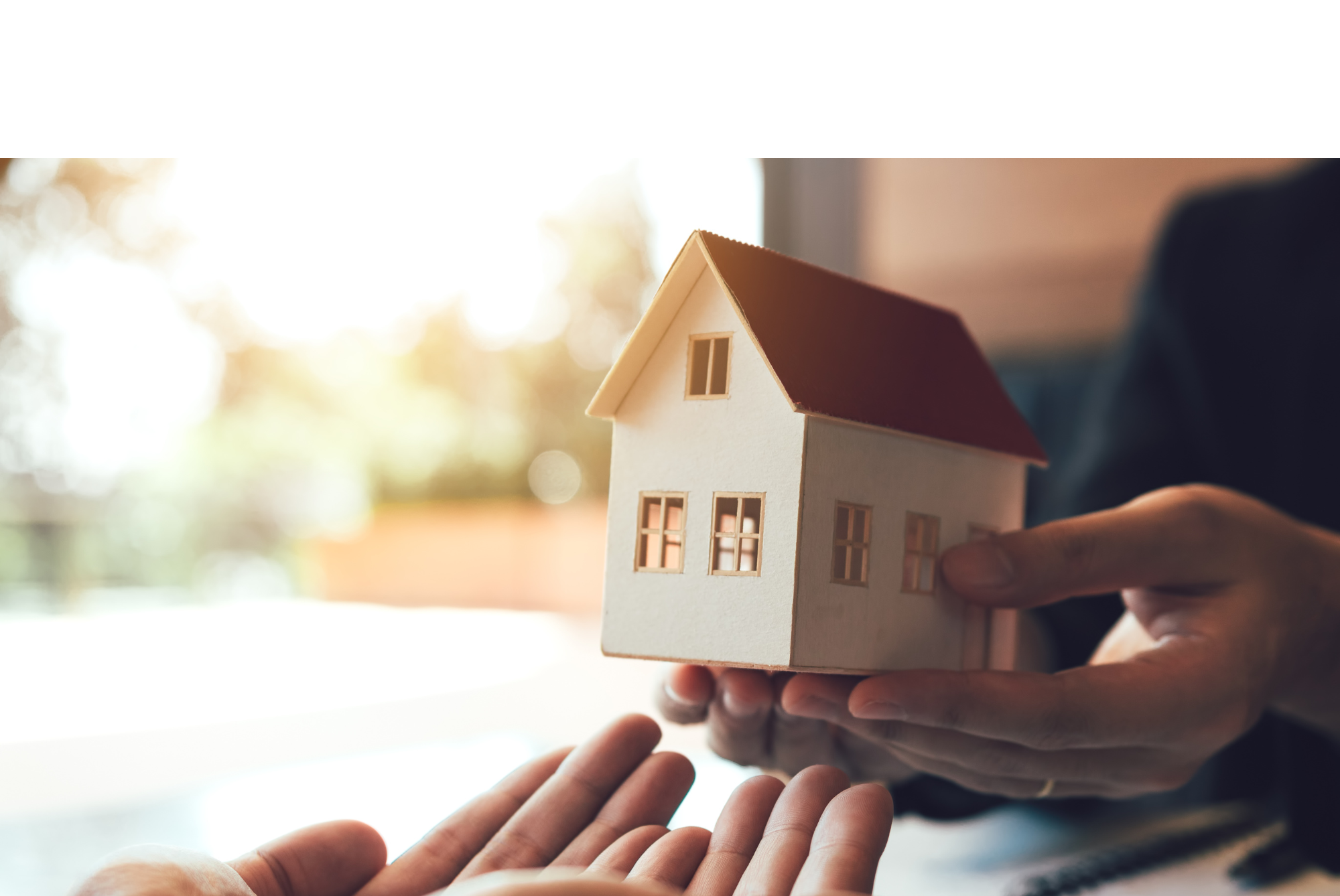 Real Estate & Property Development